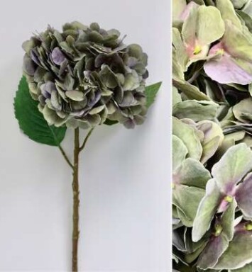 Antique Plum Hydrangea Stem