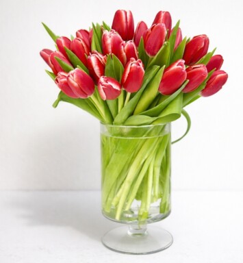 Dorothy's Tulip Deal