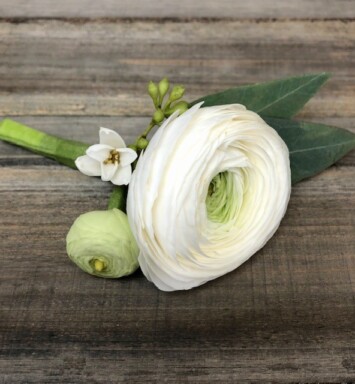 Ranunculus Boutonniere