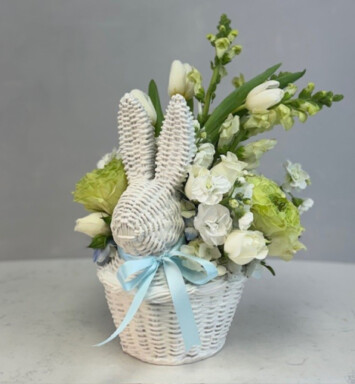 Baby Boy Bunny Blessings