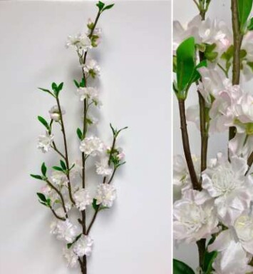 Cherry Blossom Branch