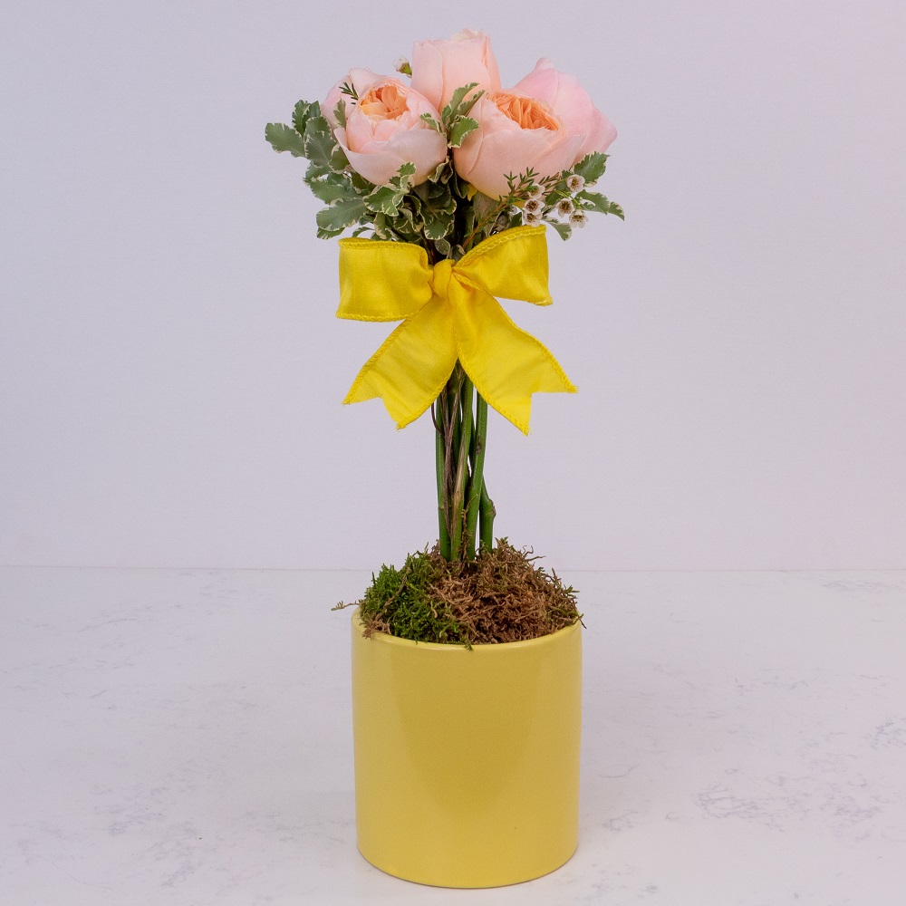 Hold the Pollen - Image 4