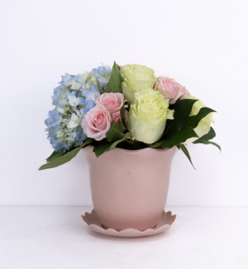 Pastel Garden