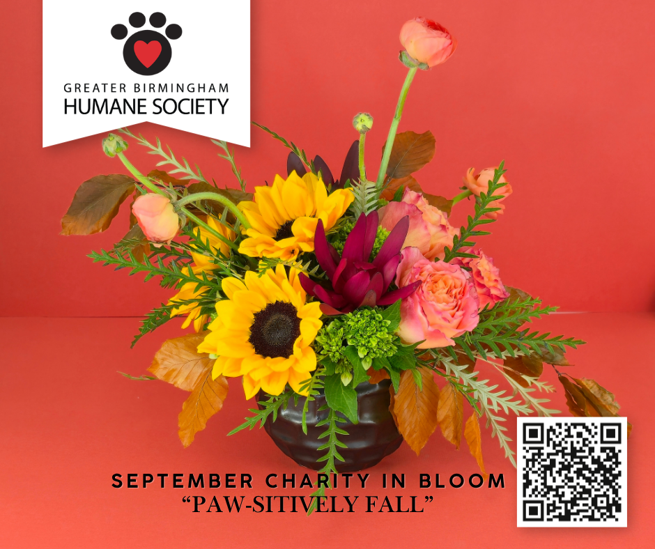 September Charity In Bloom