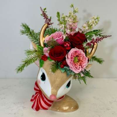 Rudolph's Crush