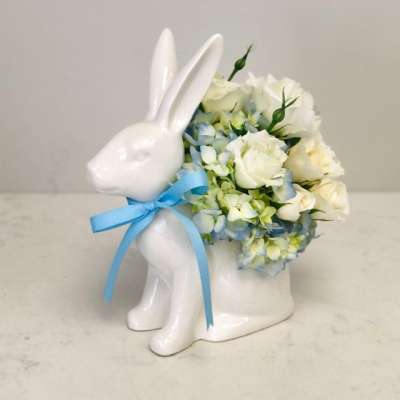 Baby Boy Bunny