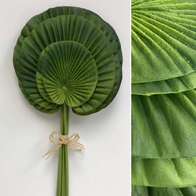 Fan Palm Bundle