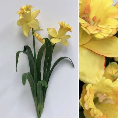 Daffodils