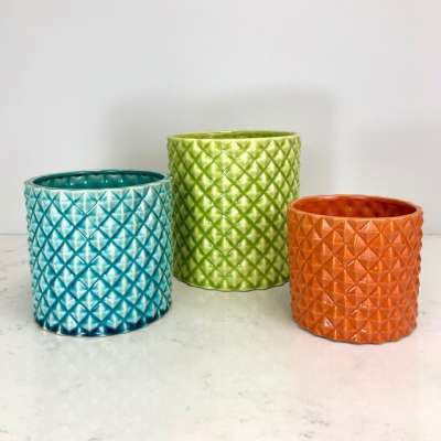 Colorful Pots