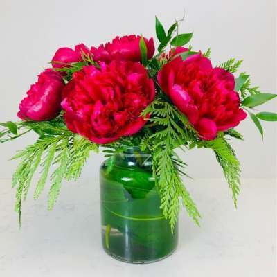 Red Peonies