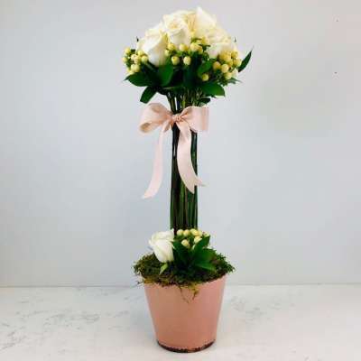 Pink Pot Topiary