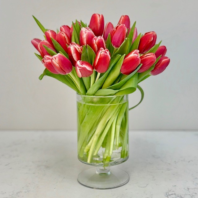 Dorothy's Tulip Deal