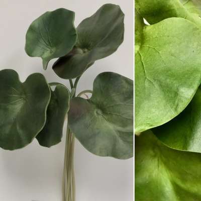 Lotus Leaf Bundle