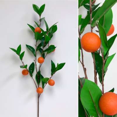Orange Summer Spray