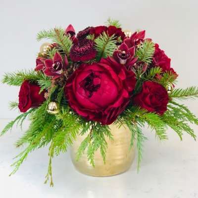 Burgundy Dream