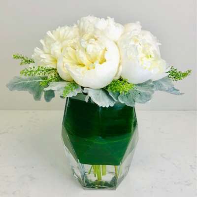 Perfect Peony