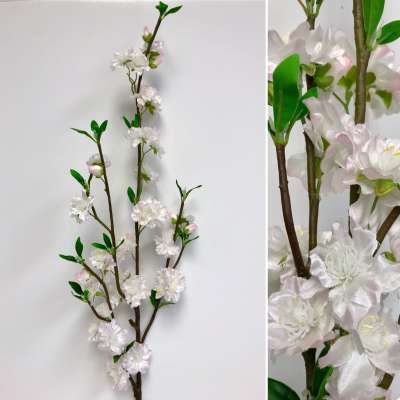 Cherry Blossom Branch