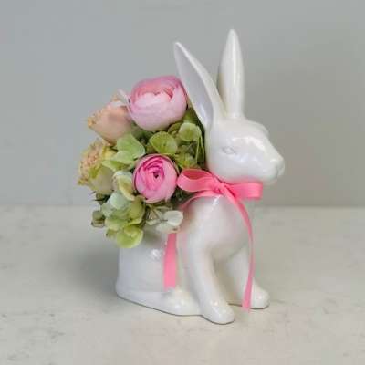 Baby Girl Bunny