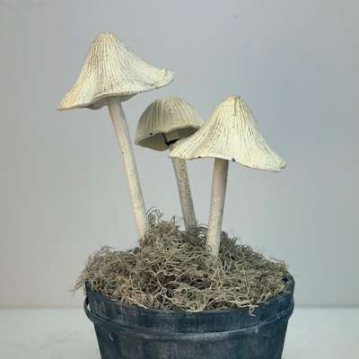 Mushroom Garden Stakes