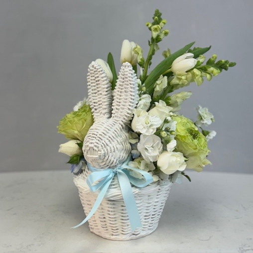 Baby Boy Bunny Blessings