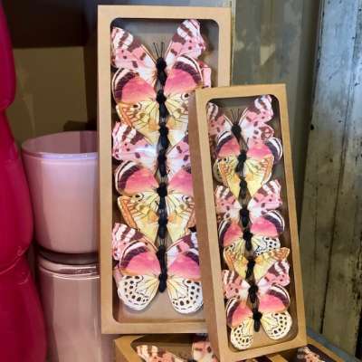 Butterfly Clips