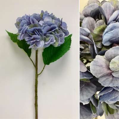 French Blue Hydrangea Stem