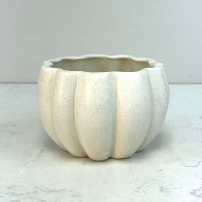 Spiced Pumpkin Container