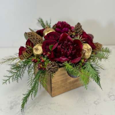 Enchanted Christmas