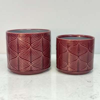 Pot Berry Wavy