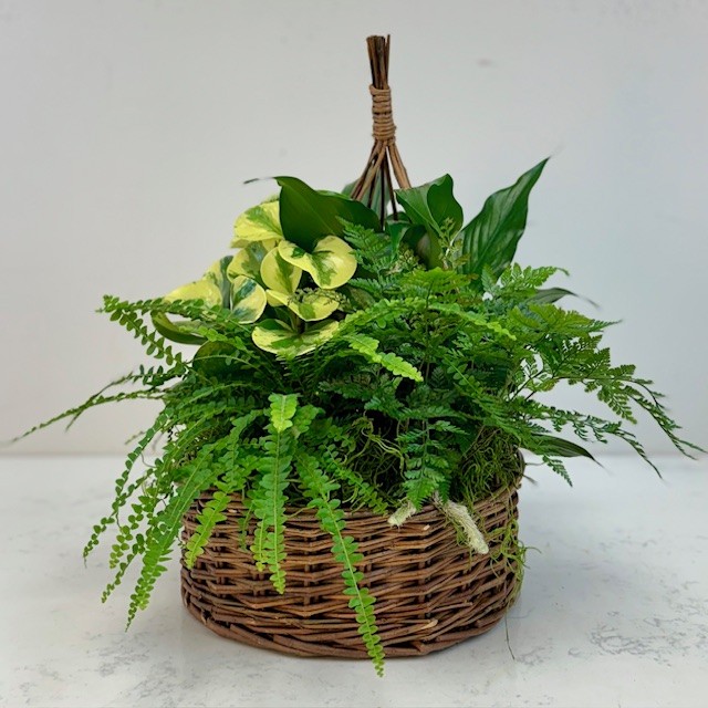 Small Plant Garden