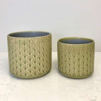 Staghorn Pot