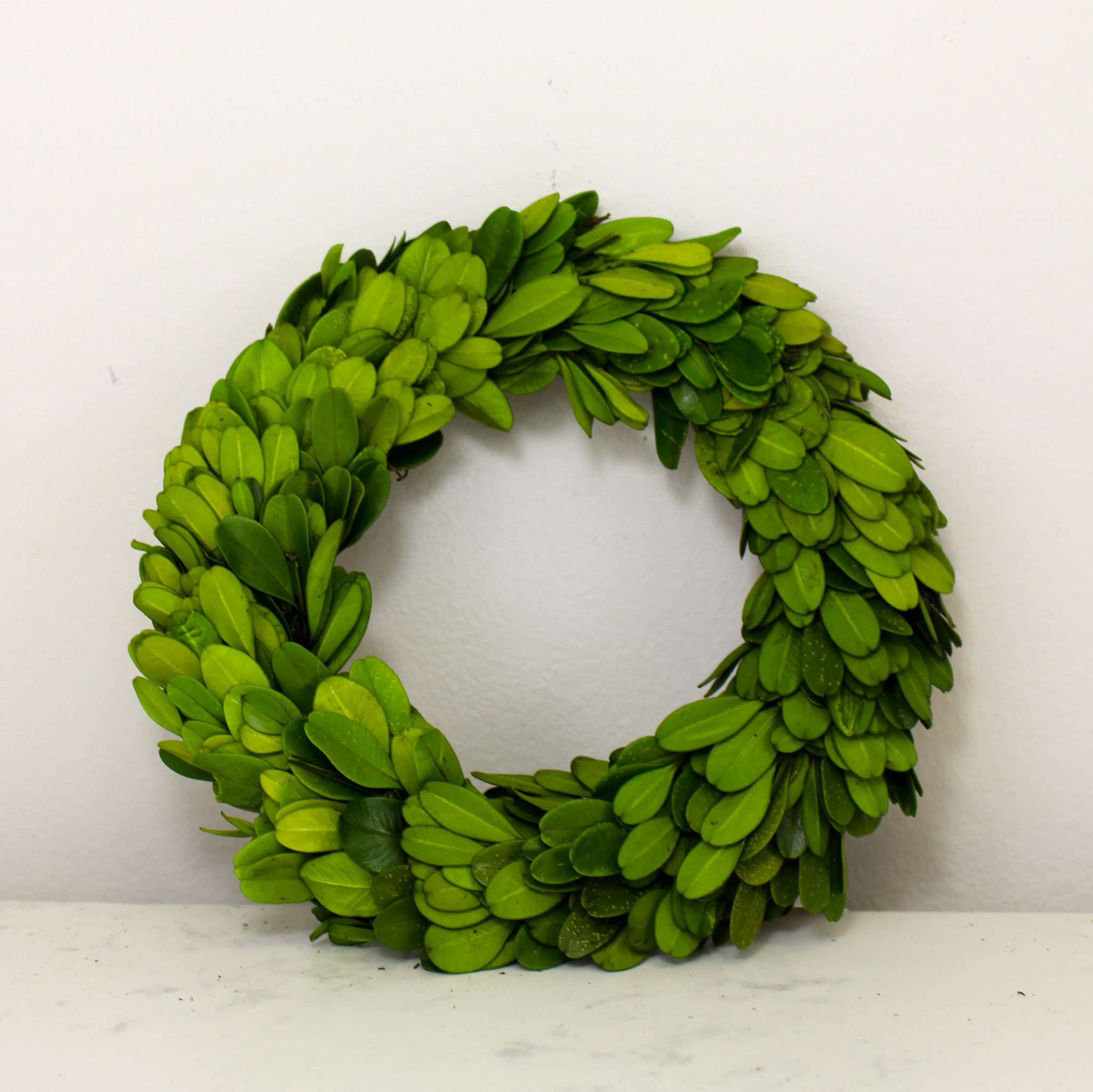 Boxwood Wreath (6”)