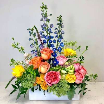 Spring Garden